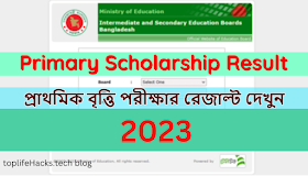Primary Scholarship Result 2023 || প্রাথমিক বৃত্তি পরীক্ষার রেজাল্ট দেখার নিয়ম ২০২৩।