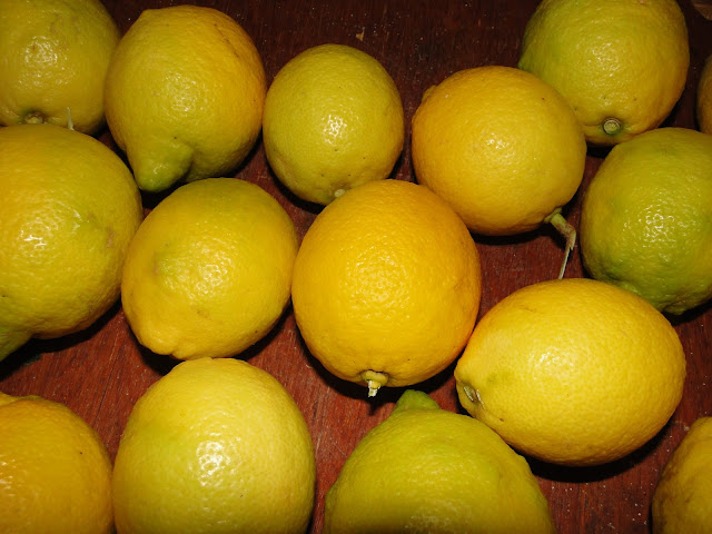 Moroccan lemon -lemony - Berkane