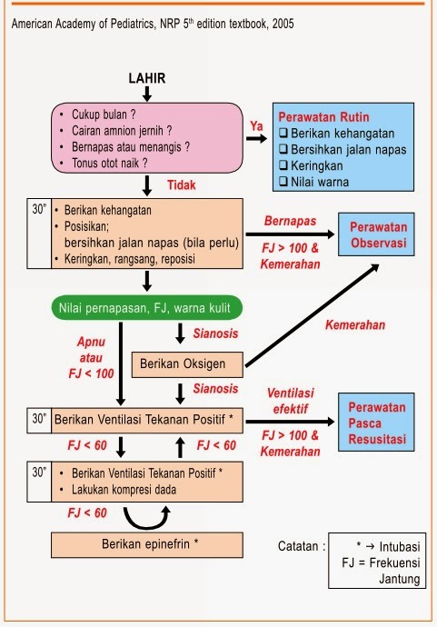 Resusitasi Bayi Baru Lahir - Kedokteran - Kesehatan