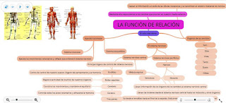 https://www.goconqr.com/es-ES/p/253852-LA-FUNCI-N-DE-RELACI-N-mind_maps