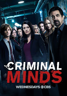Descargar Las 14 Temporadas de Criminal Minds o Mentes Criminales