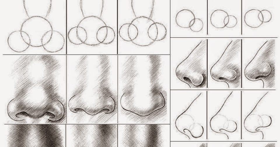 Kodok mata empat: cara membuat gambar hidung