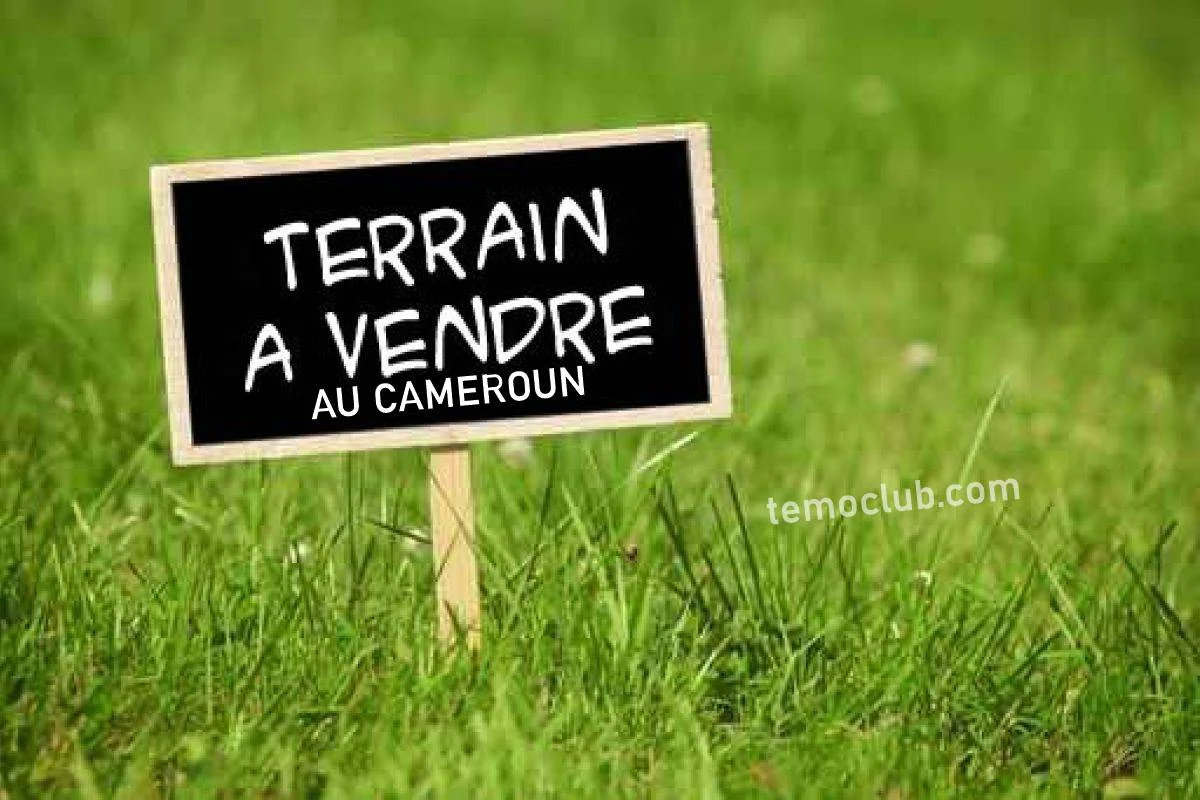 10 Choses à Savoir Avant d'acheter un Terrain au Cameroun