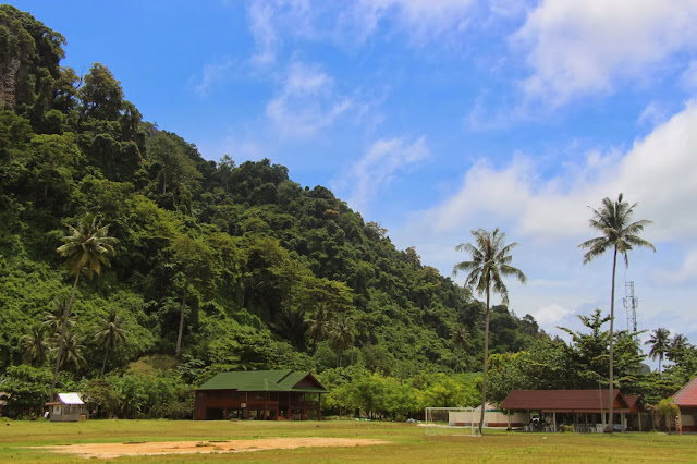 the coconut plantation in the island denizmontreal.blogspot.com 