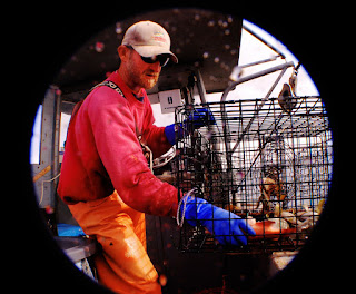 local seafood San Diego, Tuna Harbor Dockside Market, fish market