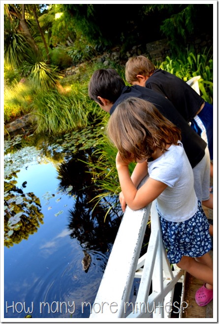 Royal Tasmanian Botanical Gardens ~ How Many More Minutes?