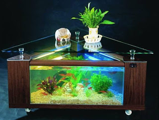 aquarium ikan hias unik