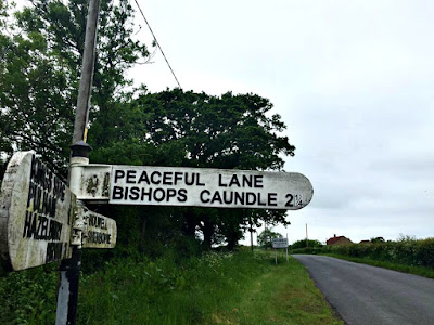 middle piccadilly, peaceful lane, dorset, healing retreat, 