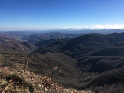 IMG_7608