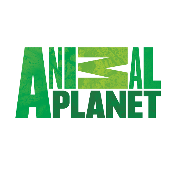 Animal Planet Has New Shows And Wild Entertainment.... See What's Up At