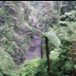 View album