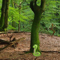Play G2R Nature Wooden Forest …