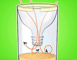 Cara Unik Membuat Perangkap Nyamuk Dari Botol Plastik Bekas