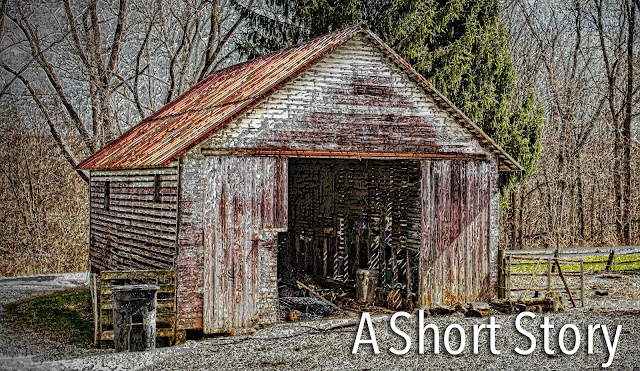 Dad's Old Shed