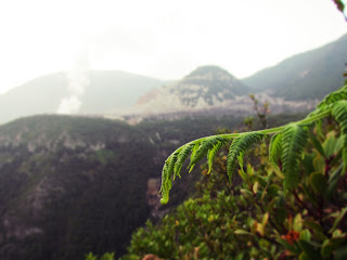 Gunung Guntur - Papandayan