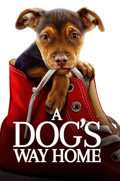 Watch A Dog's Way Home 2019 Full Movie With English Subtitles