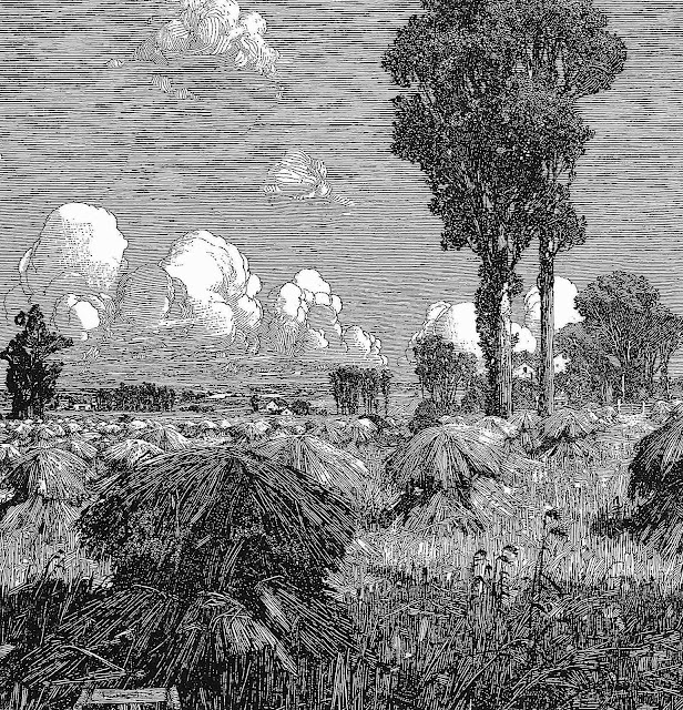 a Franklin Booth illustration of wheat sheaves in a field