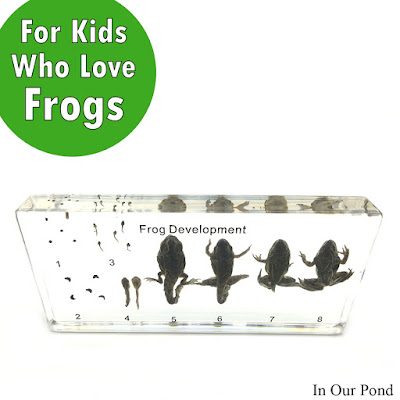 Gifts for Kids who Love Frogs- a Gift Guide from In Our Pond