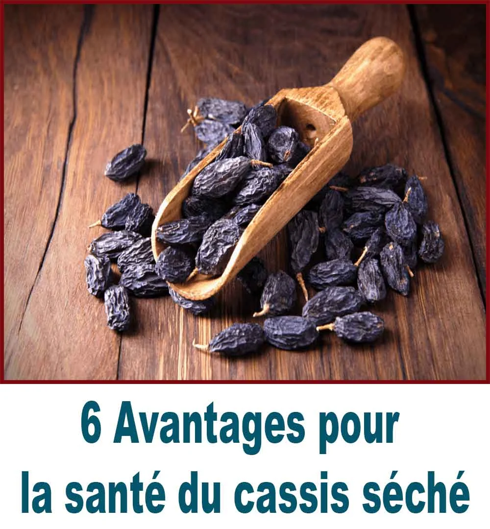 6 Avantages pour la santé du cassis séché