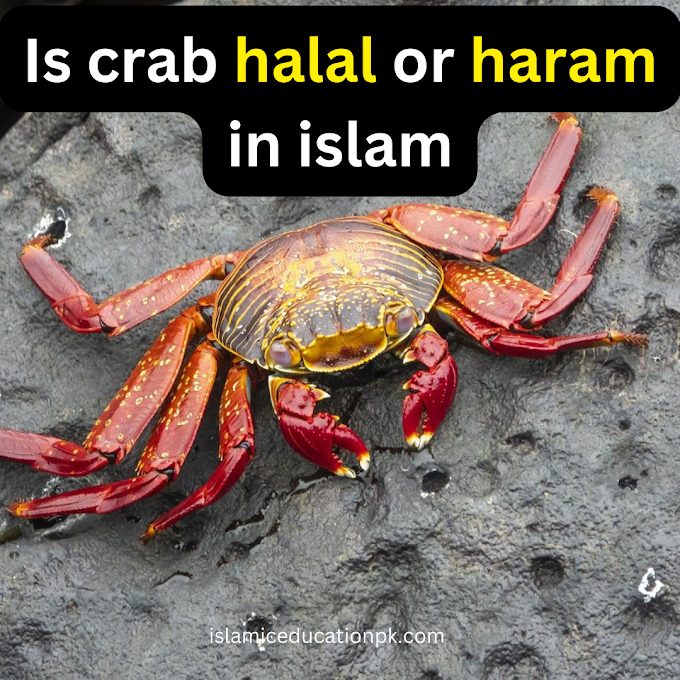 Is Crab Halal