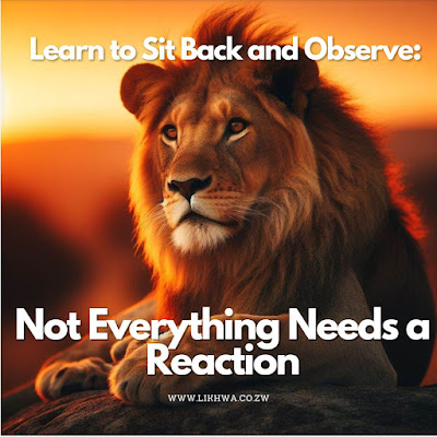 Learn to Sit Back and Observe: Not Everything Needs a Reaction (or Intervention)