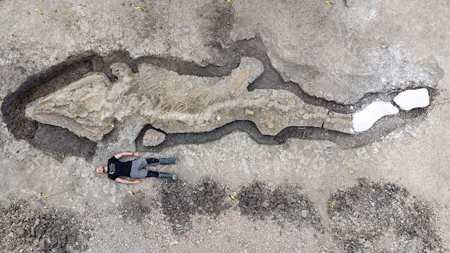 Dinosaur Hunters Find 180-Million-Year-Old 'Sea Dragon' Skeleton With One-Tonne Skull