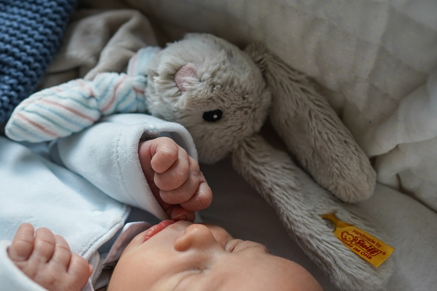 Photographe à domicile - Naissance - bébé- Maisons-Alfort et Paris