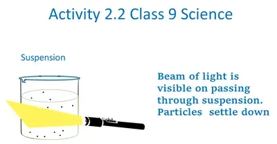 NCERT Activity 2.2 Class 9 Science Explanation with a conclusion