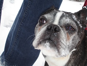 Snow 2009 065