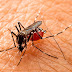 RN tem mais de 23 mil casos prováveis de dengue e duas mortes pela doença