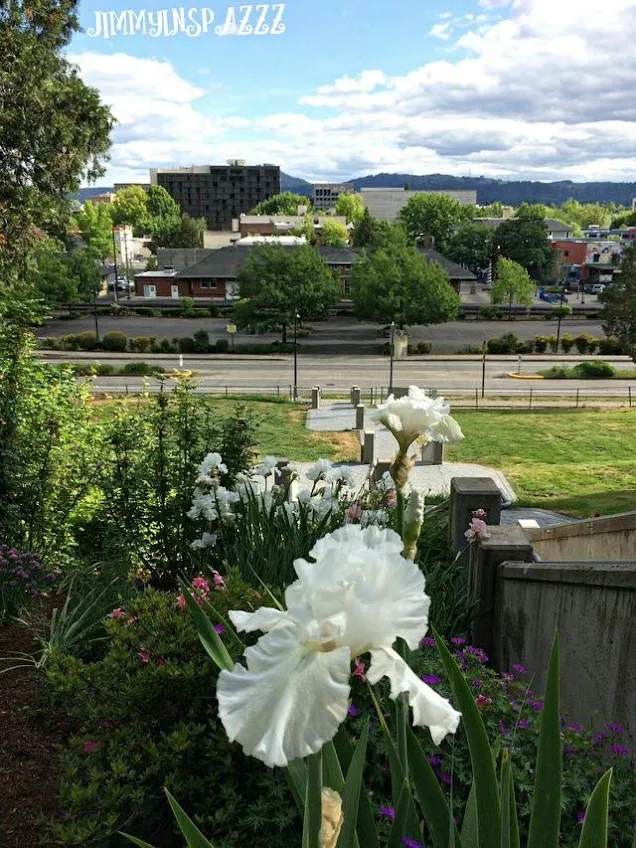 View of irises looking toward downtown from the porch of the Shelton McMurphy house