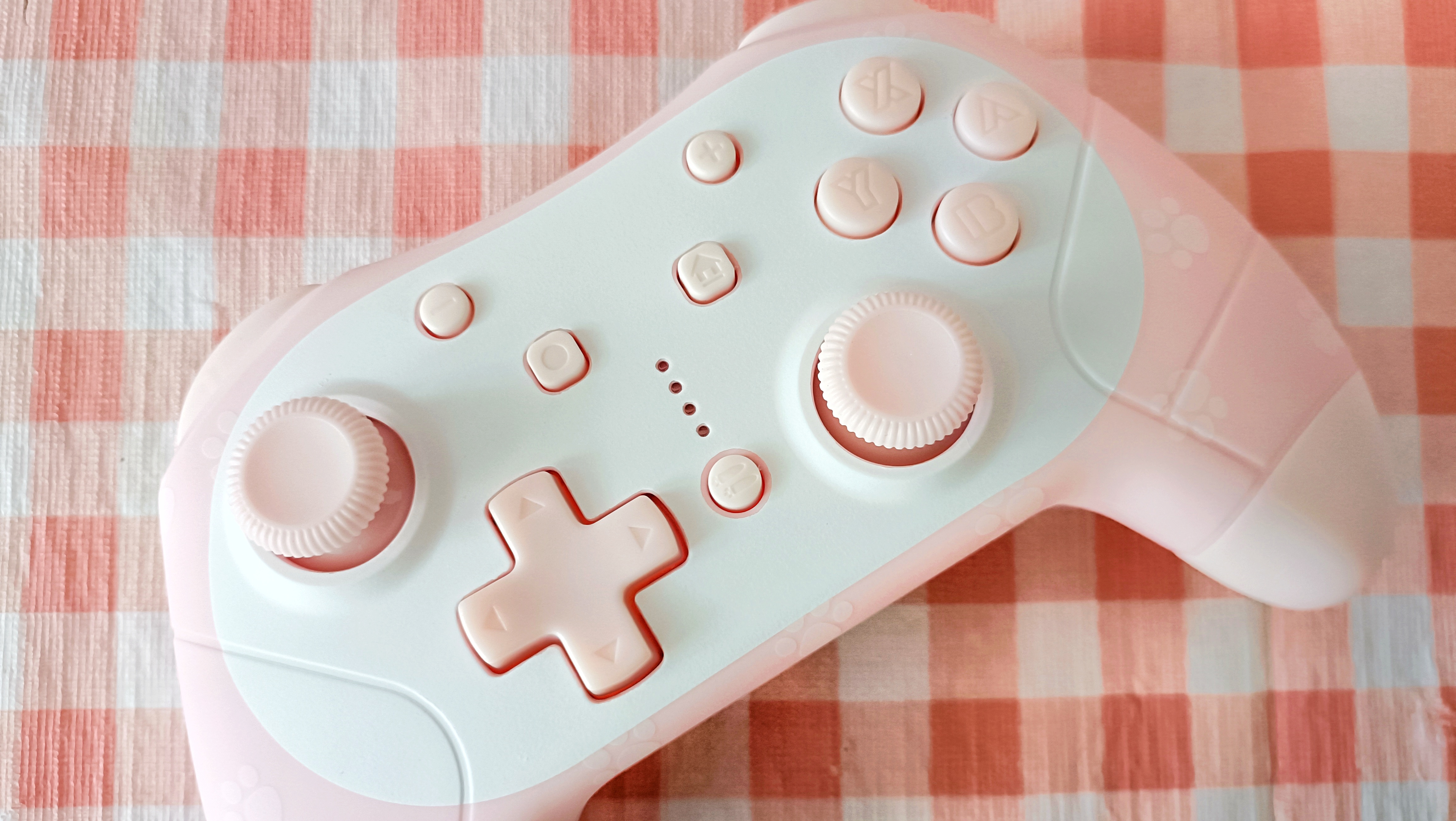 Funlab Pink Paw Wireless Controller Unboxing and Review - Reverie Wonderland