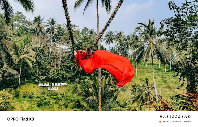 OPPO Find X8 - Sample Photo 5 OPPO Find X8 - Sample Photo 5