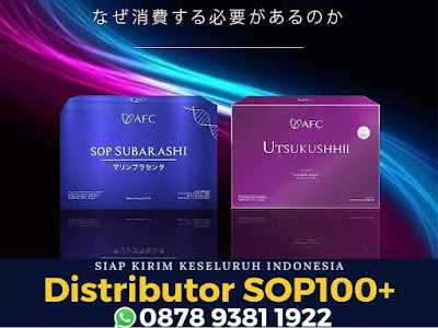 Utsukushii Untuk Diet