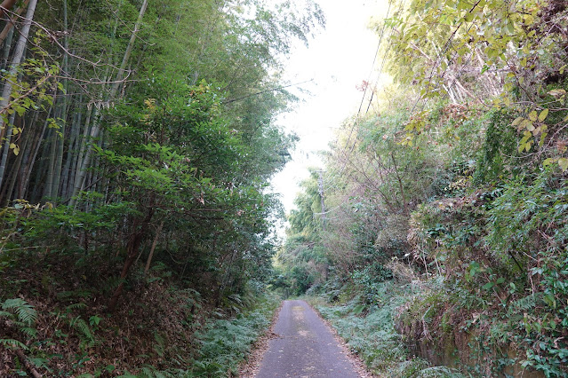 島根県安来市島田町 中海岸辺の道