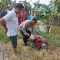 Aksi Cepat Kapolsek Maritengngae Bersama Warga Evakuasi Mayat di Area Persawahan