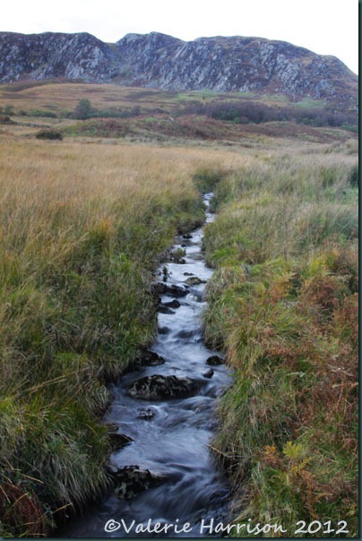 48-Mountain-stream