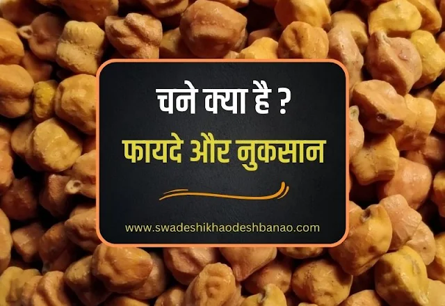 information about chickpea/chana in hindi