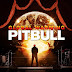 Pitbull ft Chris Brown - Hope We Meet Again FULL SONG