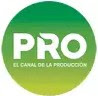 Canal Pro live streaming