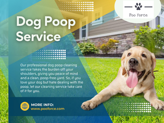 Dog Poop Service