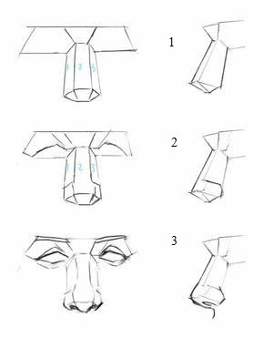 Aprende Como Dibujar una Nariz Realista con estos Consejos