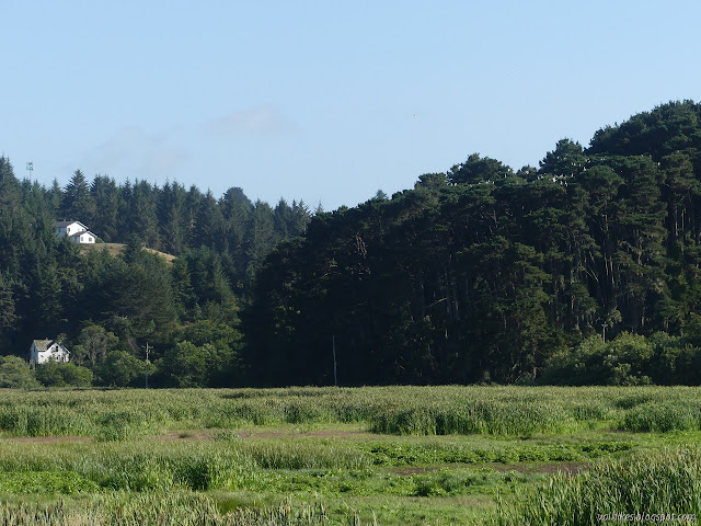 houses near the colony