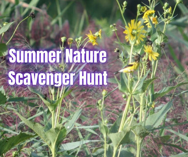 Summer Nature Scavenger Hunt (Printable)