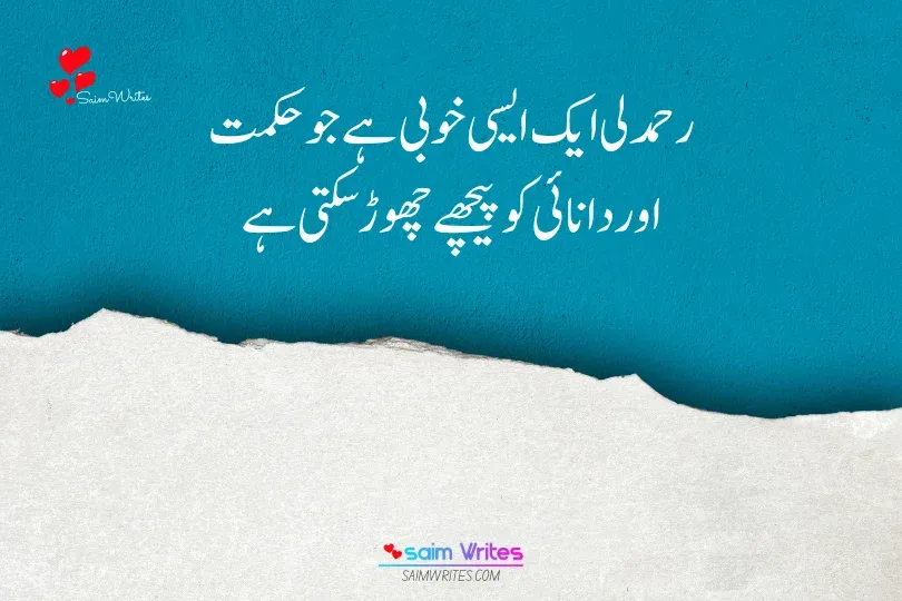 Please Read the best motivational quotes in Urdu and Hindi - SaimWrites