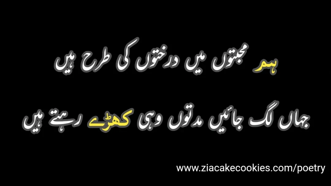 Heart Touching Poetry in Urdu, heart touching sad poetry in urdu