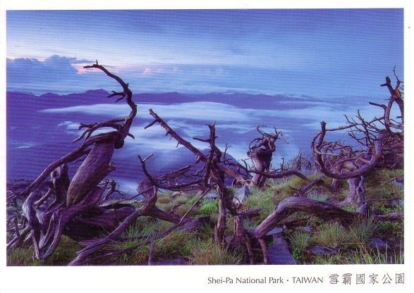 Old Postcard From Taiwan Limited Edition Stamps Collection