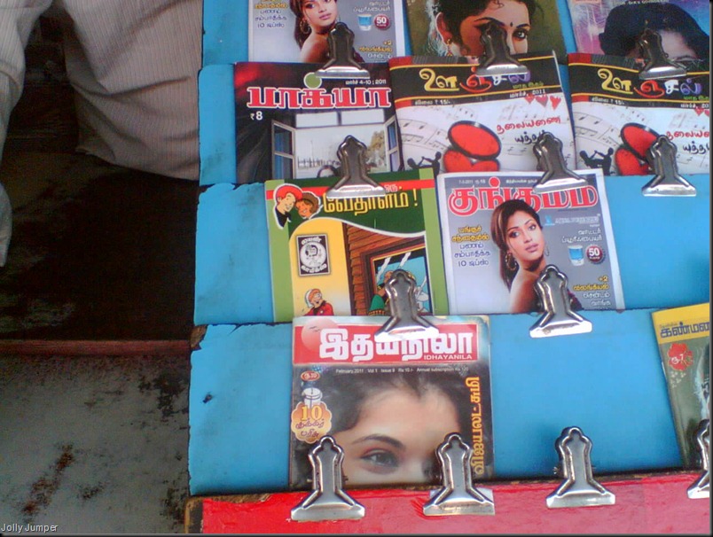 Nehru News Mart, Mylapore, Luz Corner Lion Display