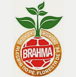 Projeto de conservação ambiental Brahma, Brahma sustentável, Brahma, sustentabilidade ambiental, projetos socioambientais, futebol, brasileirão 2014, copa do mundo, um gol uma árvore