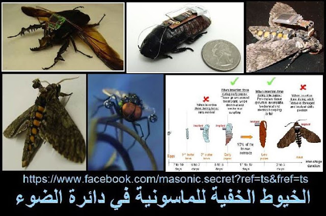 الحشرات السيبورج او الحشرات الطبيعية بتقنيات الجواسيس وعلوم البيوميكاترونيك Biomechatronic؟؟